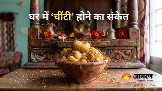 लाल चींटियों का ईशान कोण में घर: वास्तु संकेत या चेतावनी?